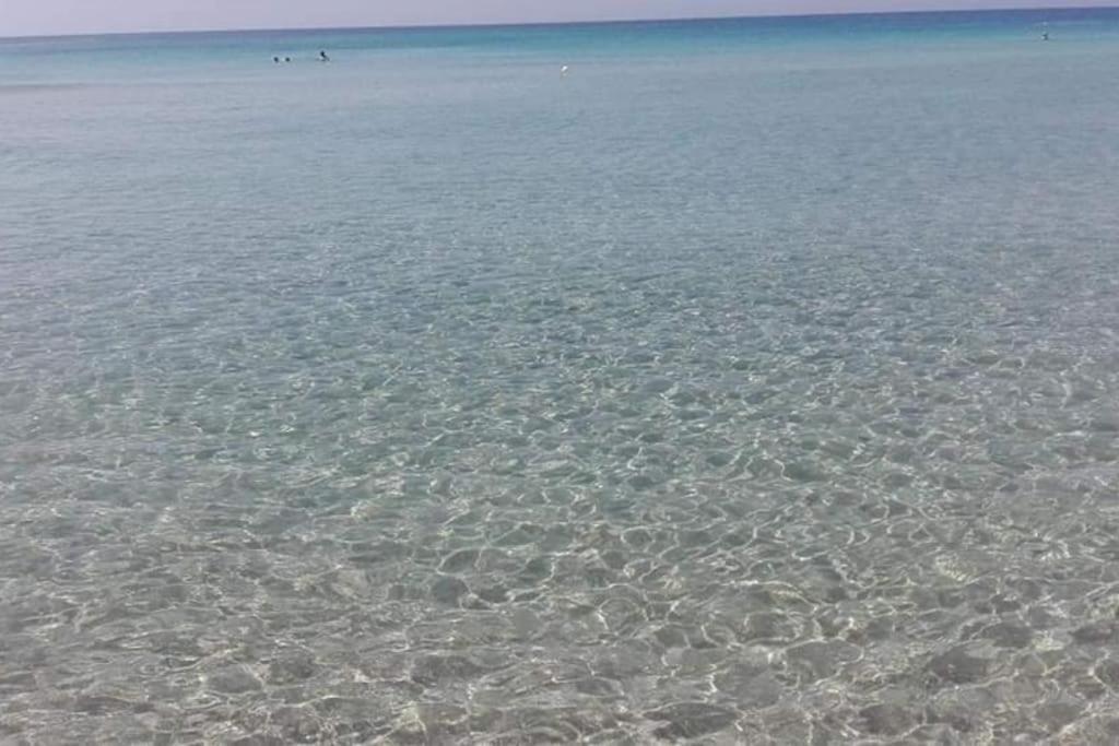 50M Dal Mare Caraibico Lejlighed Lido Marini Eksteriør billede